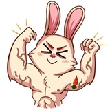 Sticker 26