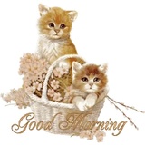 Sticker 21