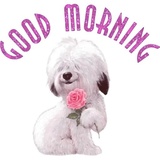 Sticker 7