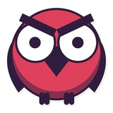 Grumpy Owls