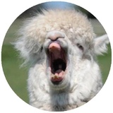 Sticker 10