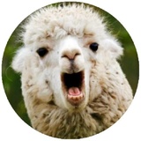 Sticker 14