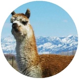 Sticker 2