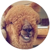 Sticker 6