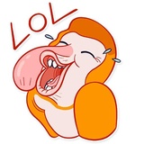 Hey Proboscis