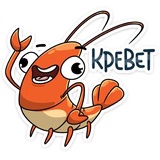 Shrimp
