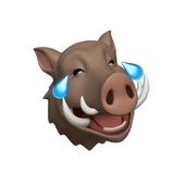 Hogs