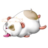 Sticker 49