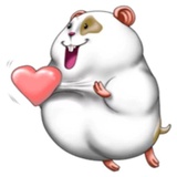 Sticker 51
