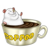 Sticker 55