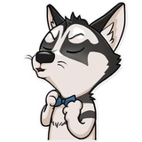 Sticker 13