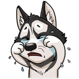 Sticker 16