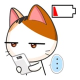 Japanese Kitty