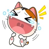Sticker 13