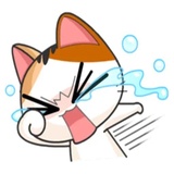 Sticker 42