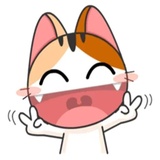 Sticker 6
