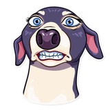 Sticker 21