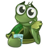 Sad Turtle Joe