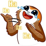 Porg