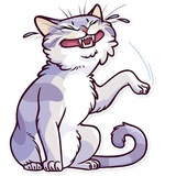 Meme Cats sticker pack