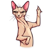 Sticker 24