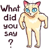 Sticker 27