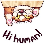 Sticker 5