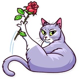 Sticker 6