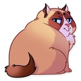 Sticker 14