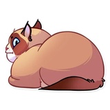 Sticker 18