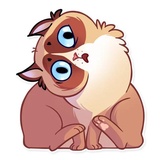 Sticker 20