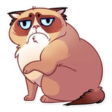 Sticker 23