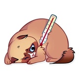 Sticker 27