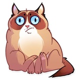 Sticker 8