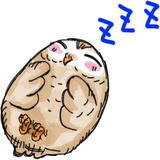 Sticker 22