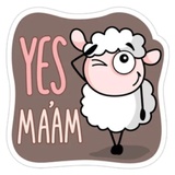 Sticker 100