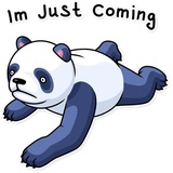 Sticker 38