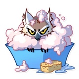 Sticker 29
