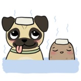 Sticker 13