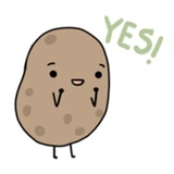 Sticker 17