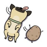 Sticker 6