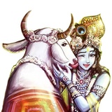 Sticker 48