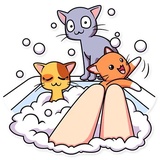 Sticker 8