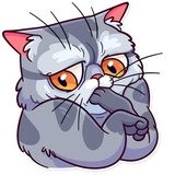 Sticker 16