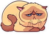 Sticker 19