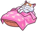 Sticker 23