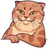 Sticker 8