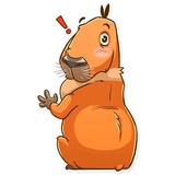 Sticker 12