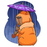 Sticker 17