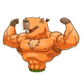 Sticker 22